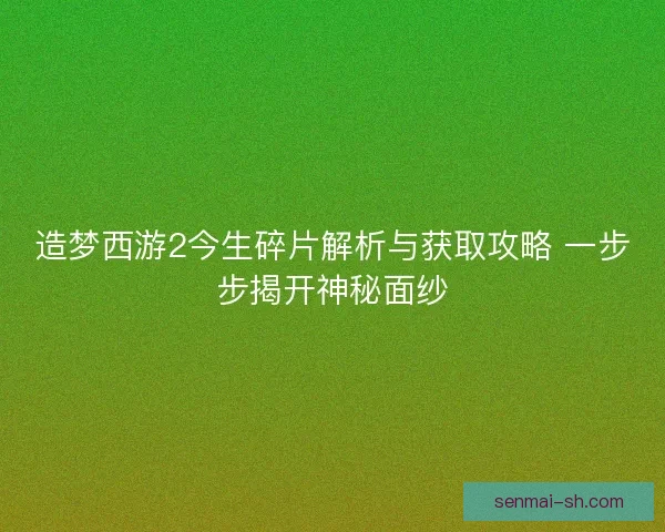 造梦西游2今生碎片解析与获取攻略 一步步揭开神秘面纱