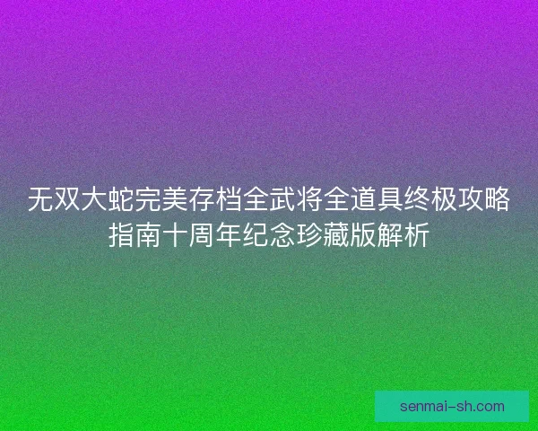 无双大蛇完美存档全武将全道具终极攻略指南十周年纪念珍藏版解析