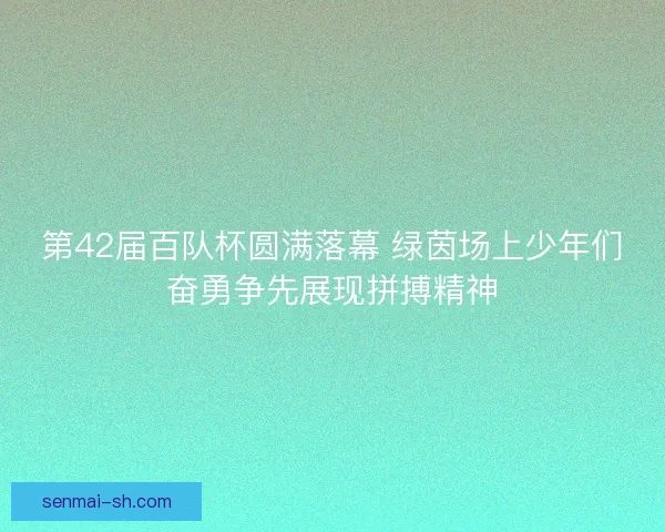 第42届百队杯圆满落幕 绿茵场上少年们奋勇争先展现拼搏精神