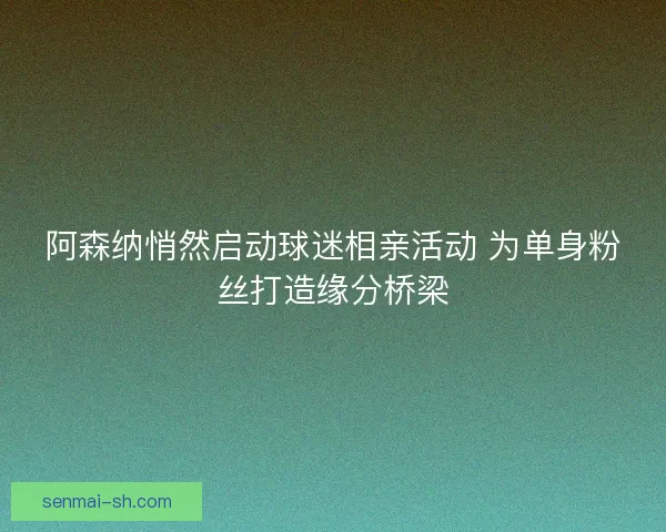 阿森纳悄然启动球迷相亲活动 为单身粉丝打造缘分桥梁