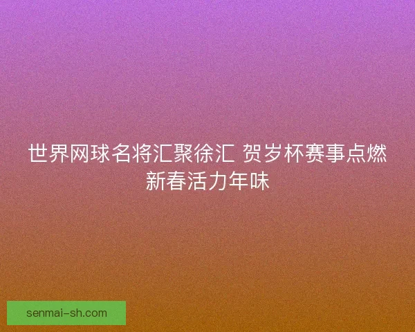世界网球名将汇聚徐汇 贺岁杯赛事点燃新春活力年味