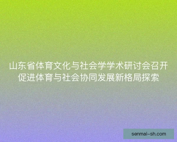 山东省体育文化与社会学学术研讨会召开促进体育与社会协同发展新格局探索