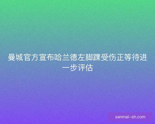 曼城官方宣布哈兰德左脚踝受伤正等待进一步评估
