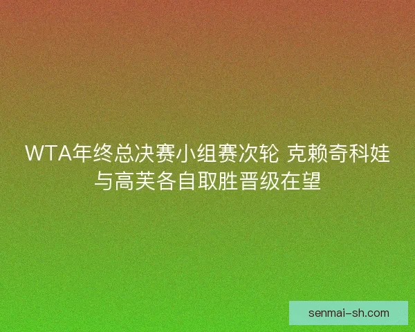 WTA年终总决赛小组赛次轮 克赖奇科娃与高芙各自取胜晋级在望