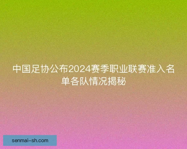 中国足协公布2024赛季职业联赛准入名单各队情况揭秘 中国足协公布2024赛季职业联赛准入名单各队情况揭秘